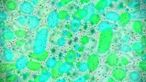 Microscopic View of Ink in Water Stockbeeldmateriaal 71095301