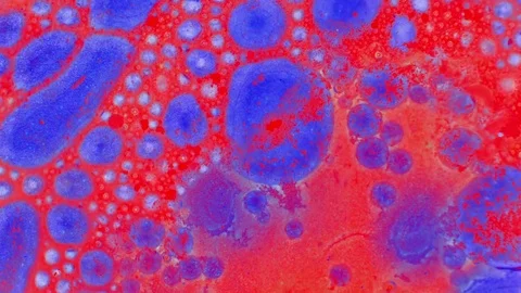 Microscopic View of Ink in Water 動画素材 71109149