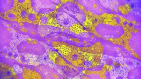 Microscopic View of Ink in Water 스톡 동영상 71109210