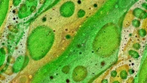 Microscopic View of Ink in Water Stock-Footage 71109563