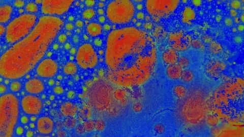 Microscopic View of Ink in Water Видео 71109584