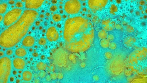 Microscopic View of Ink in Water Video stock 71109668