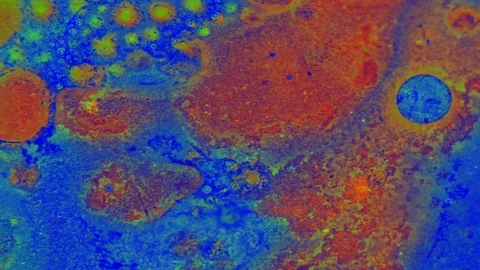 Microscopic View of Ink in Water Stock Footage 71109678