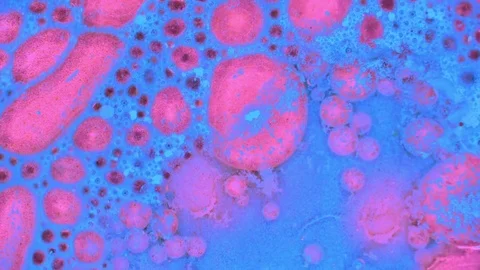 Microscopic View of Ink in Water Видео 71109727