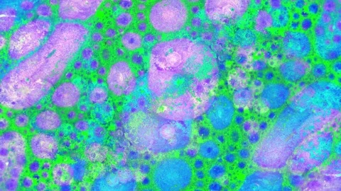 Microscopic View of Ink in Water 動画素材 71109765