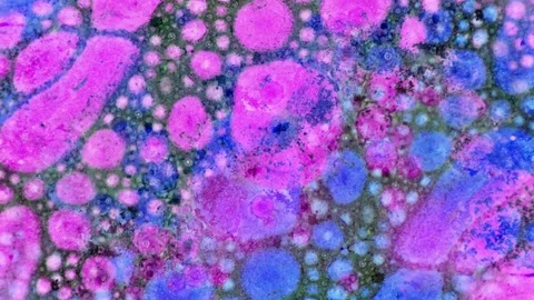 Microscopic View of Ink in Water 스톡 동영상 71109788