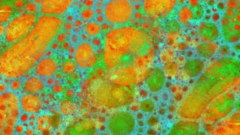 Microscopic View of Ink in Water 動画素材 71109807