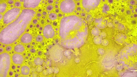 Microscopic View of Ink in Water Stockbeeldmateriaal 71109824