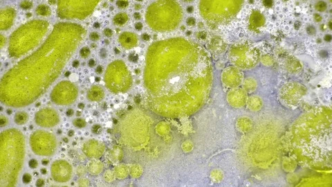 Microscopic View of Ink in Water Stockbeeldmateriaal 71109881