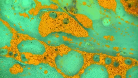 Microscopic View of Ink in Water Vidéo 71109889