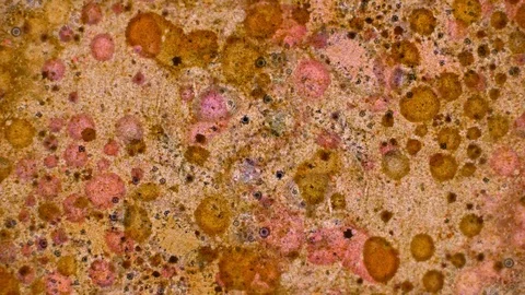 Microscopic View of Ink in Water Stockbeeldmateriaal 71109996