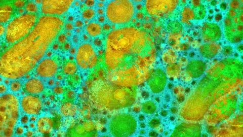 Microscopic View of Ink in Water Stockbeeldmateriaal 71110003