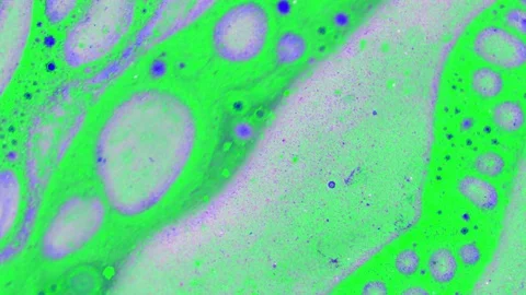 Microscopic View of Ink in Water Vídeos de archivo 71110104