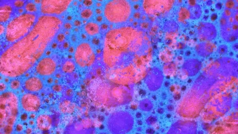 Microscopic View of Ink in Water Видео 71110127