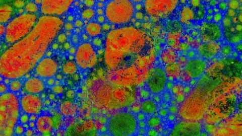 Microscopic View of Ink in Water Video stock 71110158