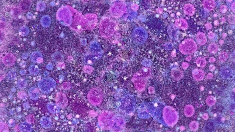 Microscopic View of Ink in Water 스톡 동영상 71110281