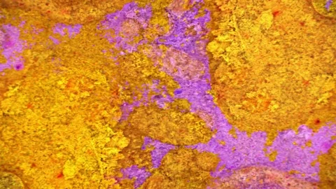 Microscopic View of Ink in Water Stockbeeldmateriaal 71115078