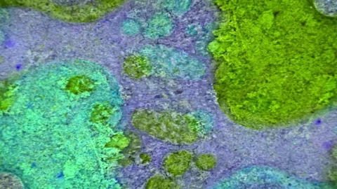 Microscopic View of Ink in Water Stockbeeldmateriaal 71115080