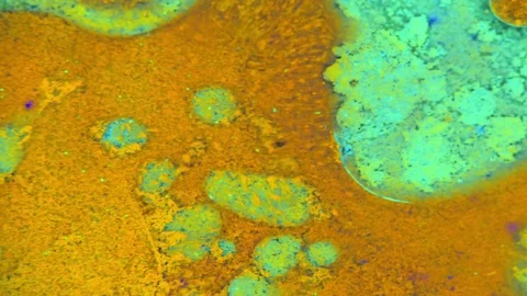 Microscopic View of Ink in Water Vidéo 71115315