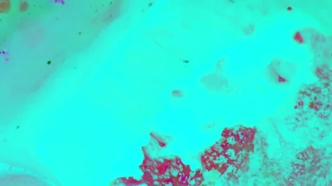 Microscopic View of Ink in Water Stock-Footage 71115444