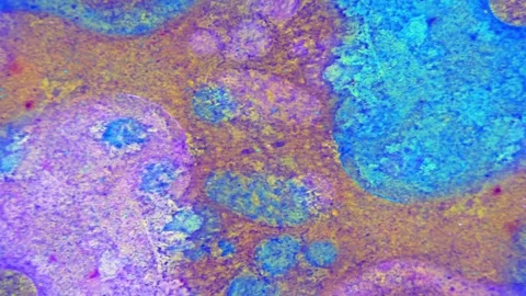 Microscopic View of Ink in Water 库存影片 71115472