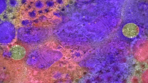 Microscopic View of Ink in Water Video stock 71115523