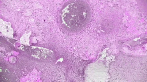 Microscopic View of Ink in Water 스톡 동영상 71115536