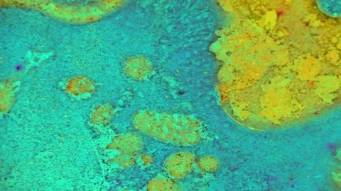 Microscopic View of Ink in Water Stock Footage 71115579