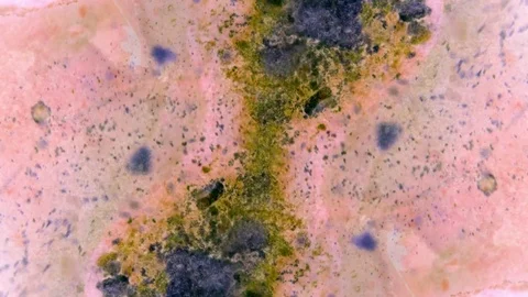 Microscopic View of Ink in Water Видео 71115673