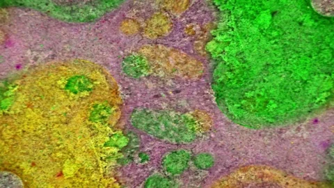 Microscopic View of Ink in Water Stock Footage 71115788