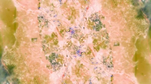 Microscopic View of Ink in Water Stockbeeldmateriaal 71115904