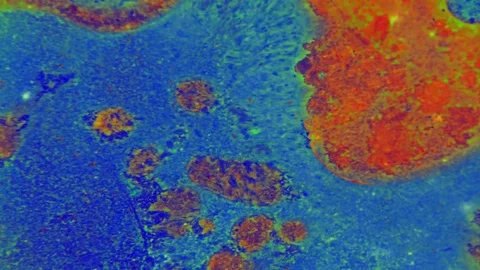 Microscopic View of Ink in Water Stock Footage 71116181