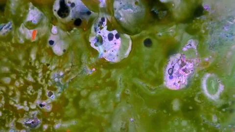 Microscopic View of Ink in Water 스톡 동영상 71116230