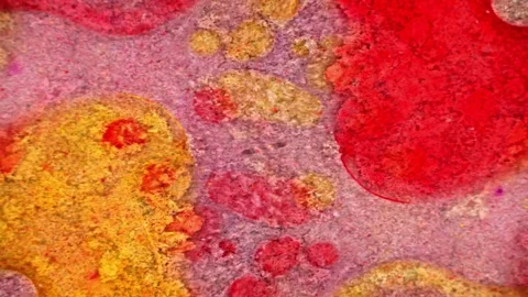 Microscopic View of Ink in Water Stock-Footage 71116366