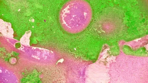 Microscopic View of Ink in Water Stockbeeldmateriaal 71116457