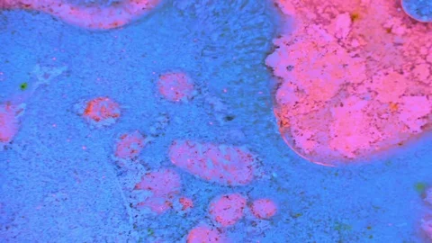 Microscopic View of Ink in Water 스톡 동영상 71116547