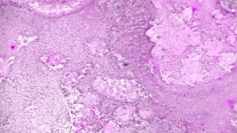 Microscopic View of Ink in Water Stock-Footage 71116762