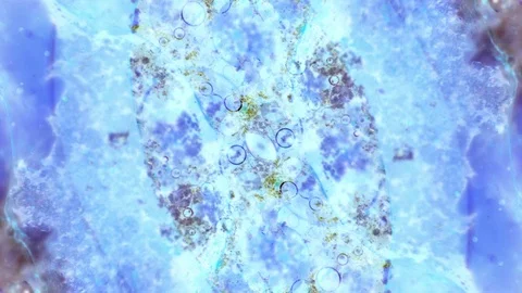 Microscopic View of Ink in Water Видео 71116770