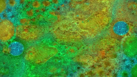 Microscopic View of Ink in Water Stock Footage 71116798