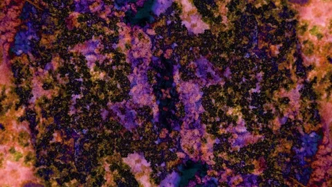 Microscopic View of Ink in Water 스톡 동영상 71116841