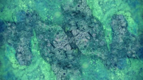 Microscopic View of Ink in Water Stockbeeldmateriaal 71116897