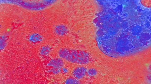 Microscopic View of Ink in Water 스톡 동영상 71116918