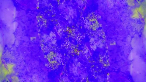 Microscopic View of Ink in Water Видео 71117166