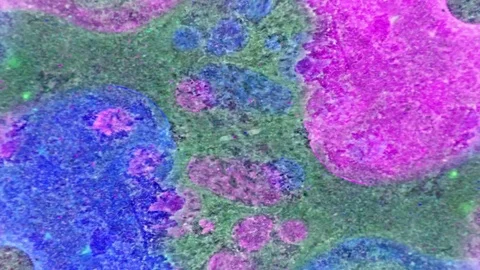 Microscopic View of Ink in Water Видео 71117198