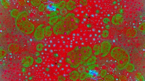 Microscopic View of Ink in Water 스톡 동영상 71121108