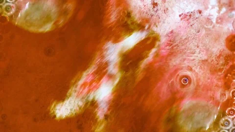 Microscopic View of Ink in Water 스톡 동영상 71121112