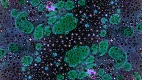 Microscopic View of Ink in Water Video stock 71121596