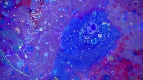 Microscopic View of Ink in Water Vídeo Stock 71121615