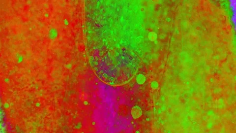 Microscopic View of Ink in Water 스톡 동영상 71121873