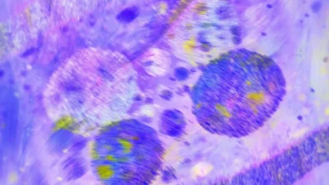 Microscopic View of Ink in Water Stockbeeldmateriaal 71121914